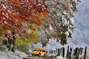 冬季的林中逃脱