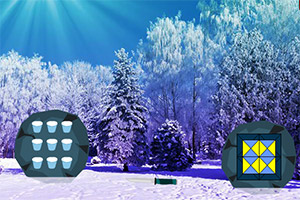 救援困在雪地的猫