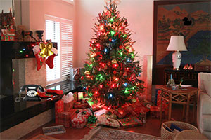 逃出圣诞的夜晚