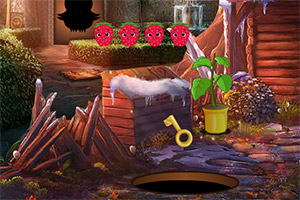 救援漂亮的小松鼠