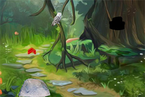 逃离猫头鹰森林